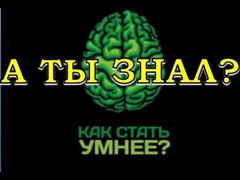 Как поумнеть за 1 секунду – Как стать умным за 5 минут по всем предметам в домашних условиях
