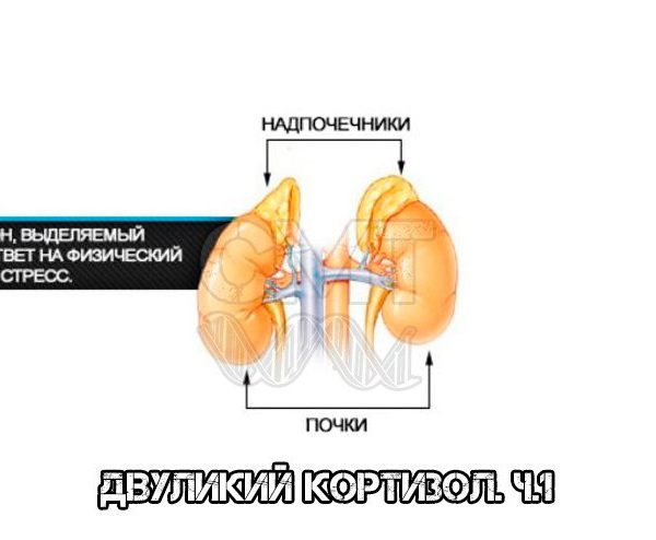 Когда кончаешь больно – Очень больно кончать — Урология