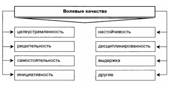 Какие свойства есть у файла