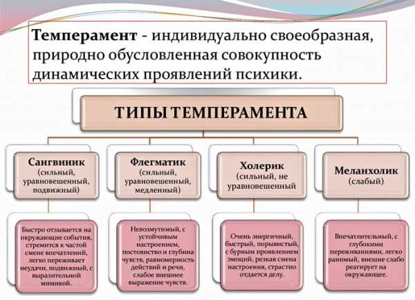 Картинка типы членов